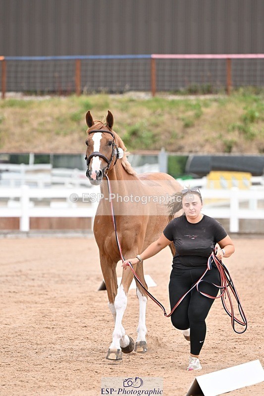 250716-140008-00855 - Trot Up 1.30 to 2.30