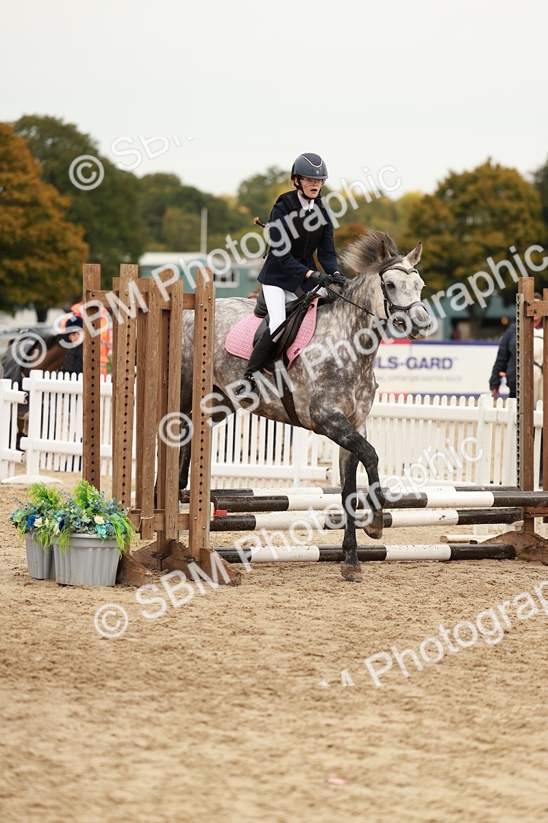 SBM_57992 - J11 - Junior Pony 50cm Championship