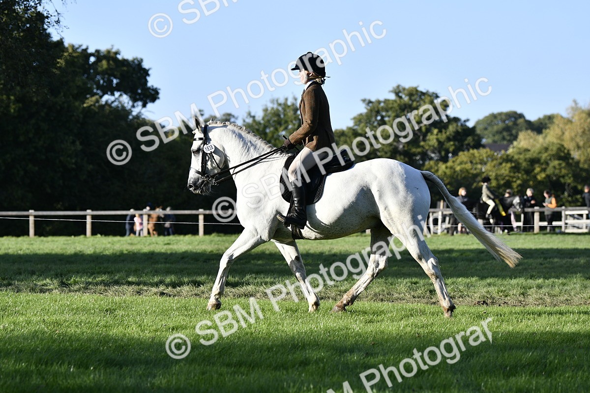 SBM_53527 - S14 - Riding Club Horse