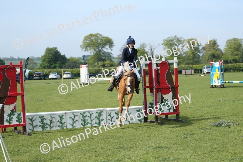 20260426-0249 - Class 13 - Rookie Jumping 50cm