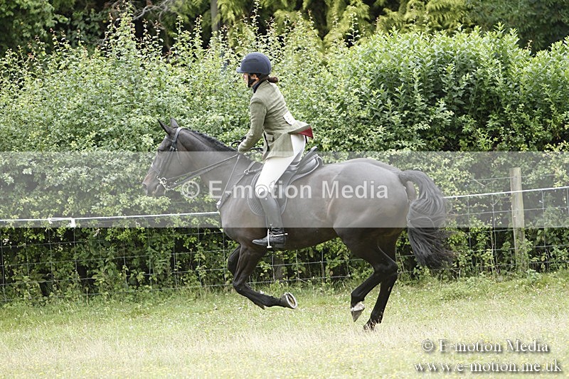 BVR160717-2195 - Ring 3 BVRC Show 16/07/17