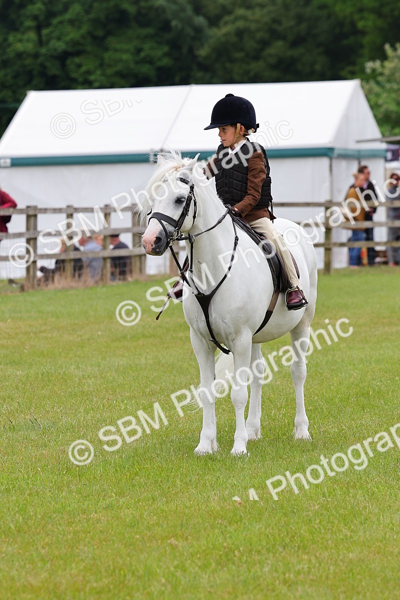SBM_08693 - Class 42-43 - LIHS BSPS Heritage Working Sports Pony