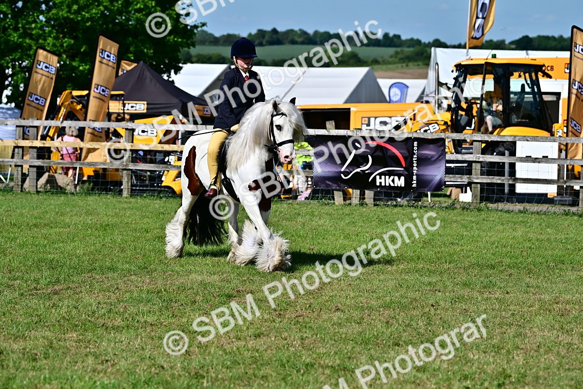 SBM_09406 - Class 63-65 - Traditional Gypsy Cobs In Hand & Ridden