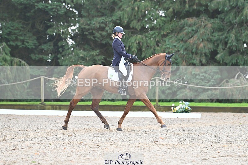 231019-122016-03069 - 113-RIVERSTOWN.ROYAL-Georgie.Frow-DR