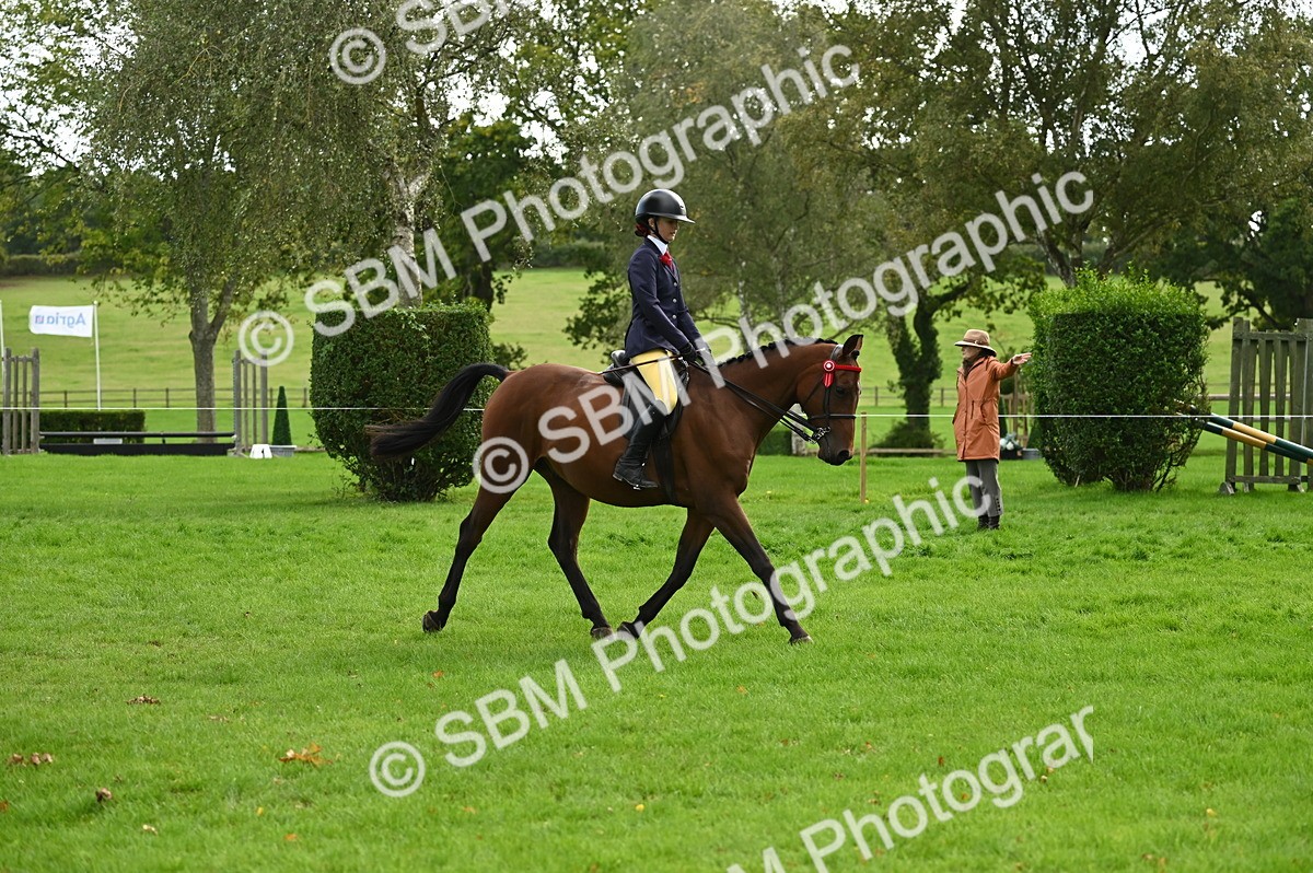 SBM_26338 - S6 - Novice & newcomer Ridden horse