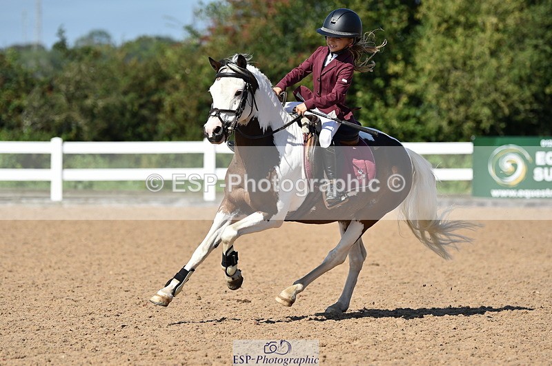 230903A-112708-04193 - Cls 18 Pony Brit Novice & 80cm Open