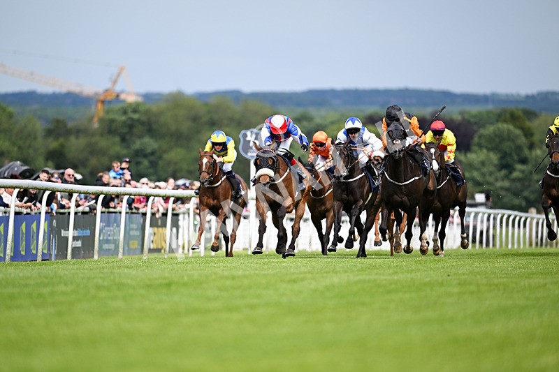 290524-Race 4-Makeen-6464 - Race 4