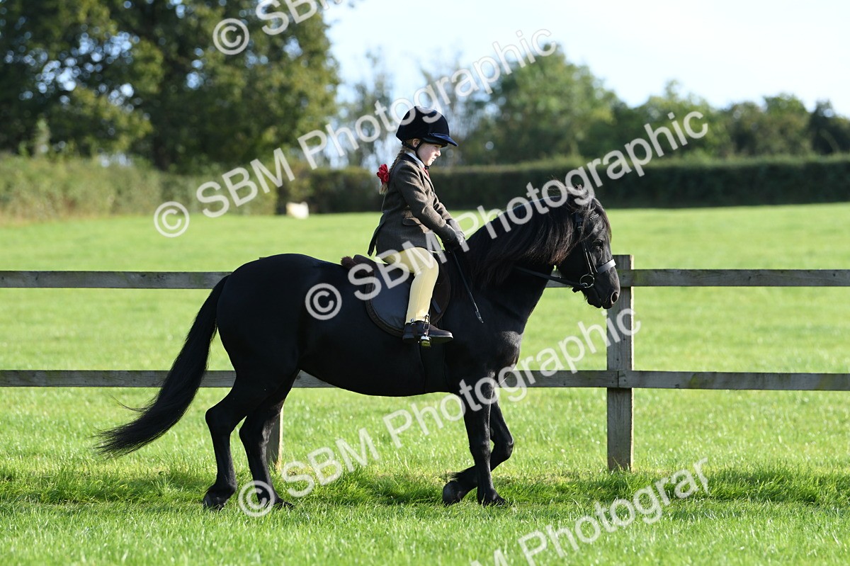 SBM_53998 - S23 - 1st Ridden Mountain & Moorland Pony