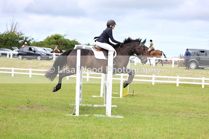 3E7A7694 - Class 13: Senior British Novice/90cm open