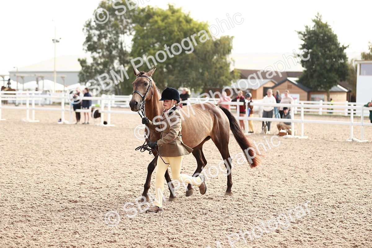 SBM_10578 - Class 204 Young Handler, 11-16 years