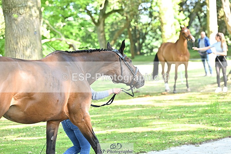 250521A-163556-01235 - C-225-Molly.Adams-QUINARA