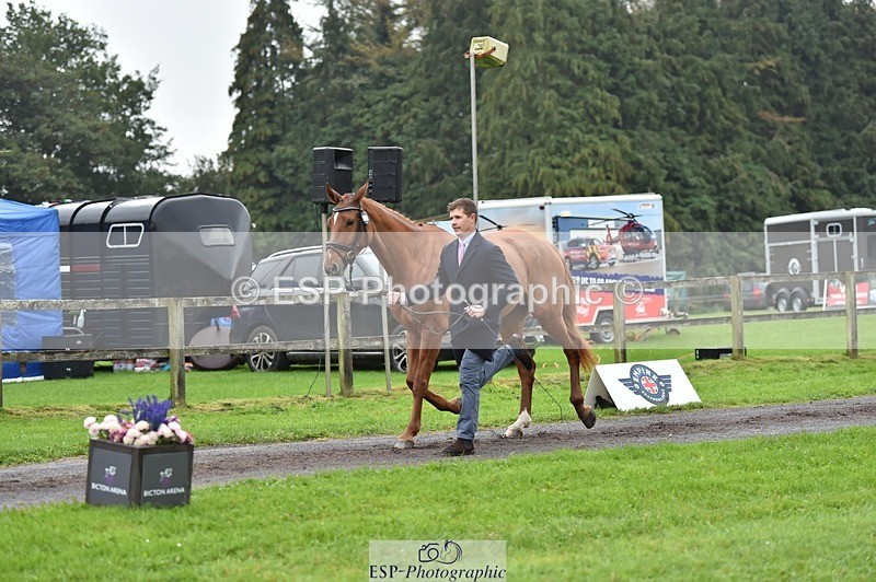 231018-121928-00204 - 069-LUSUELA-Will.Furlong-TrotUp