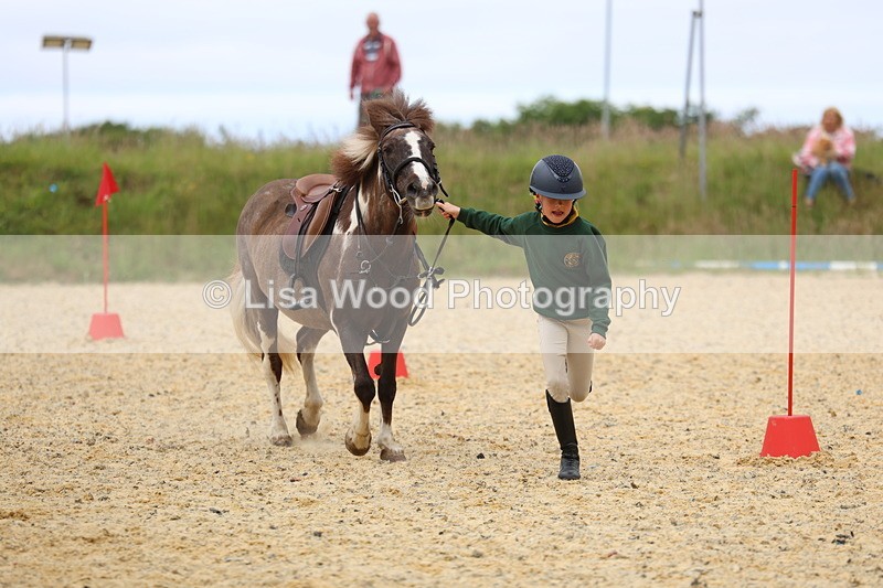 3E7A9579 - Walk trot run