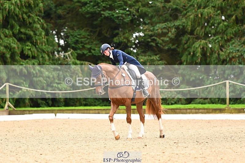 231020-153226-11861 - 213-MGH.HILDARE.HARLEQUIN-Danielle.Mccormack-DR