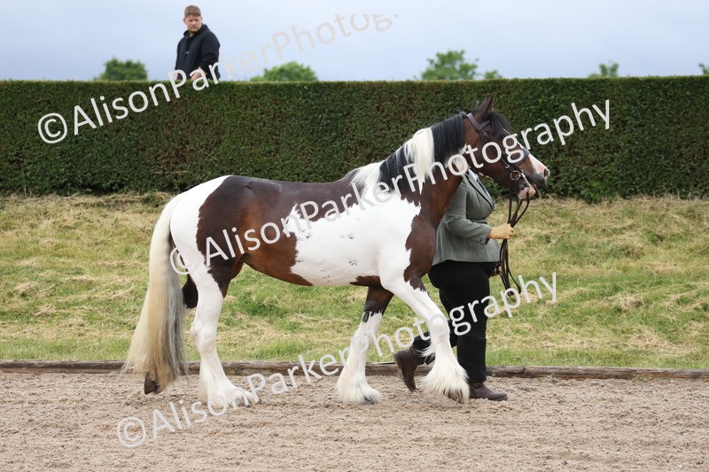 20250524-0004 - Class 1 - Best Condition