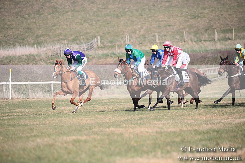 PtP 230219 219 - Vine & Craven Point-To-Point - Barbury 23/02/19