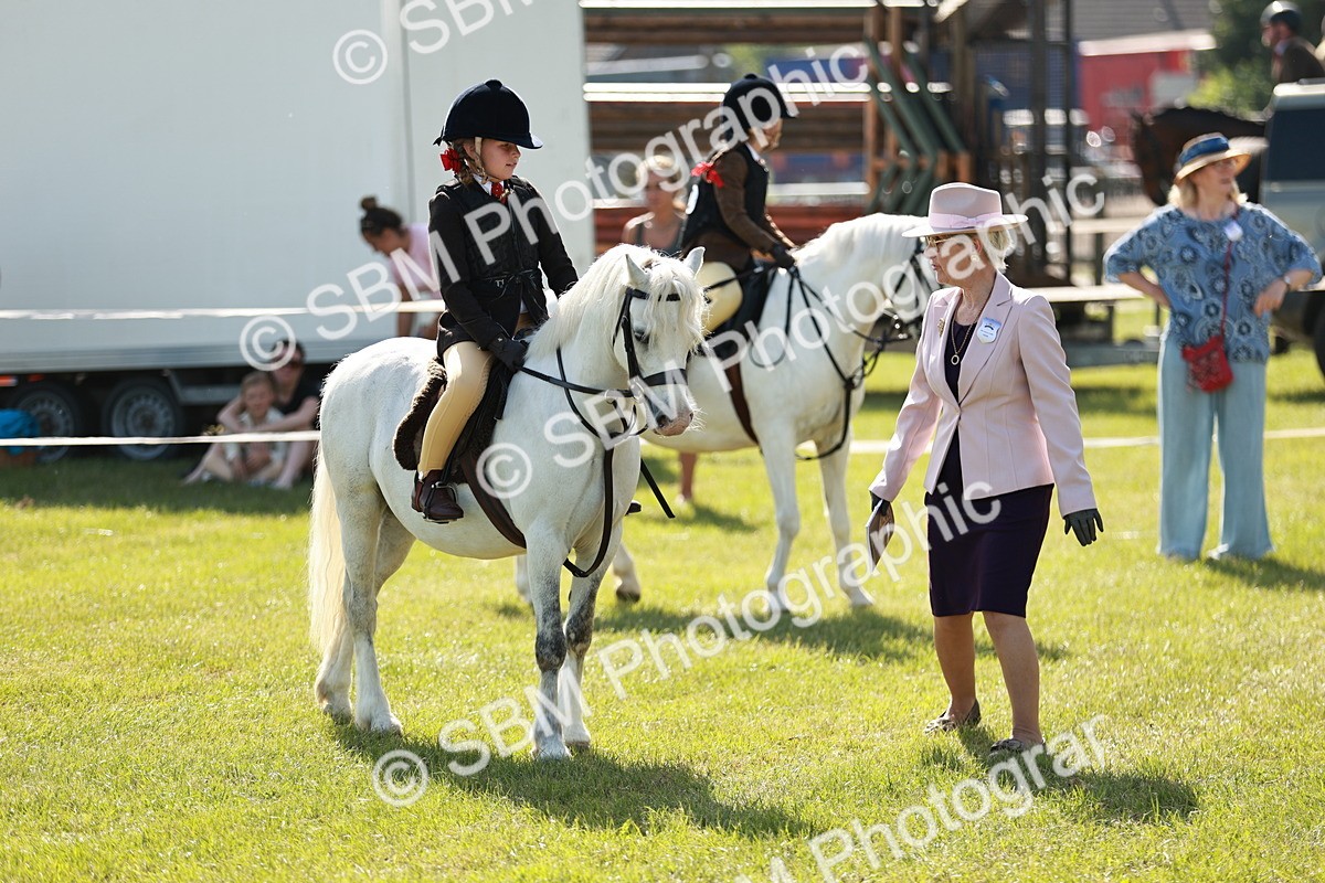 SBM_12602 - Class 106-107 - BSPS LIHS Working Sports Pony