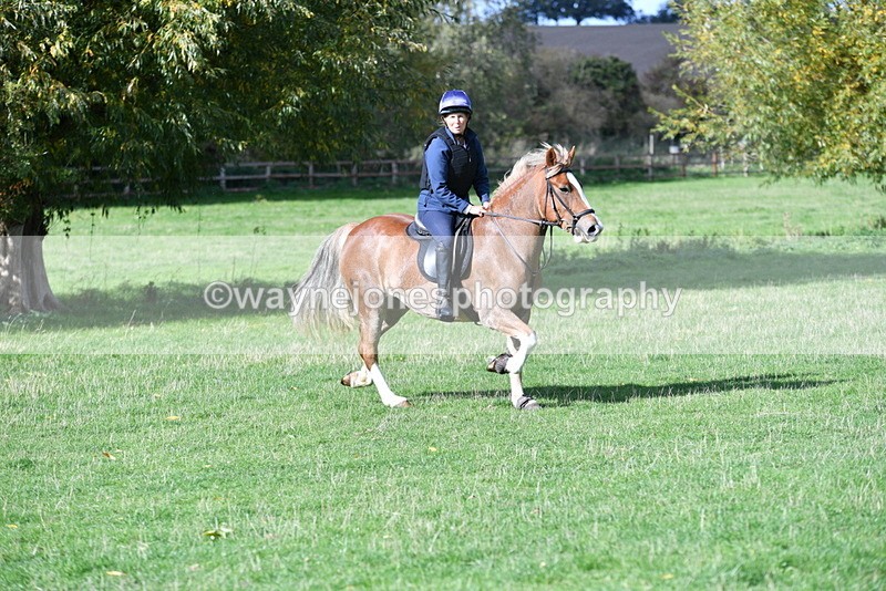 WJ5_8202 - Time 10:31 to 12:01