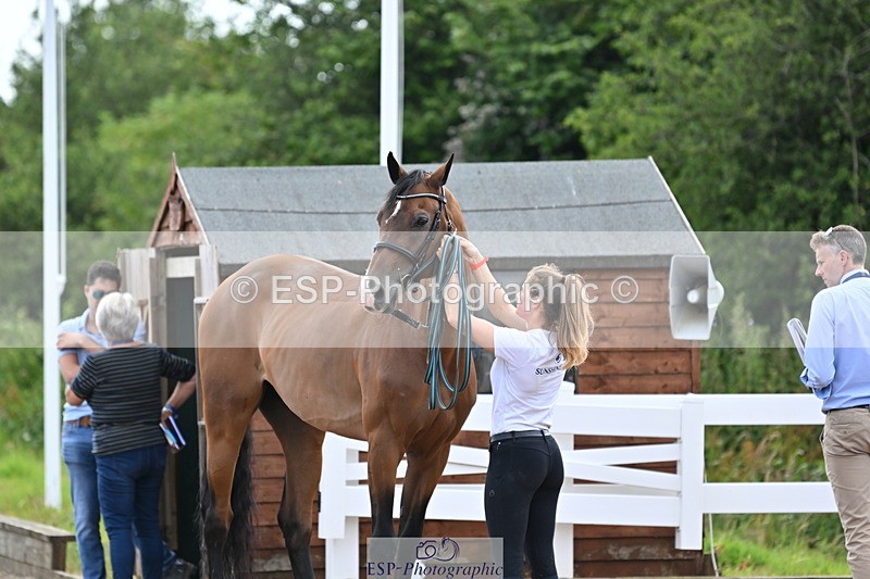 240717A-142709-02066 - Trot Up 2pm to 3pm - This folder is not in time order