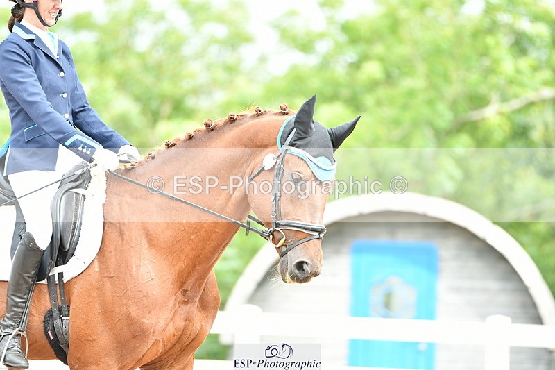 230630A-100010-00002 - Cls 6 Music Novice