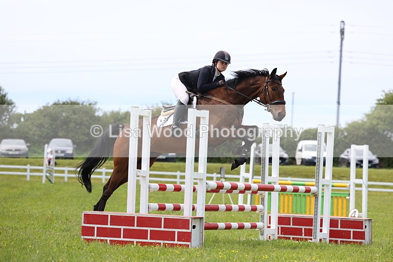 3E7A1587 - Class 13: Senior British Novice/90cm open