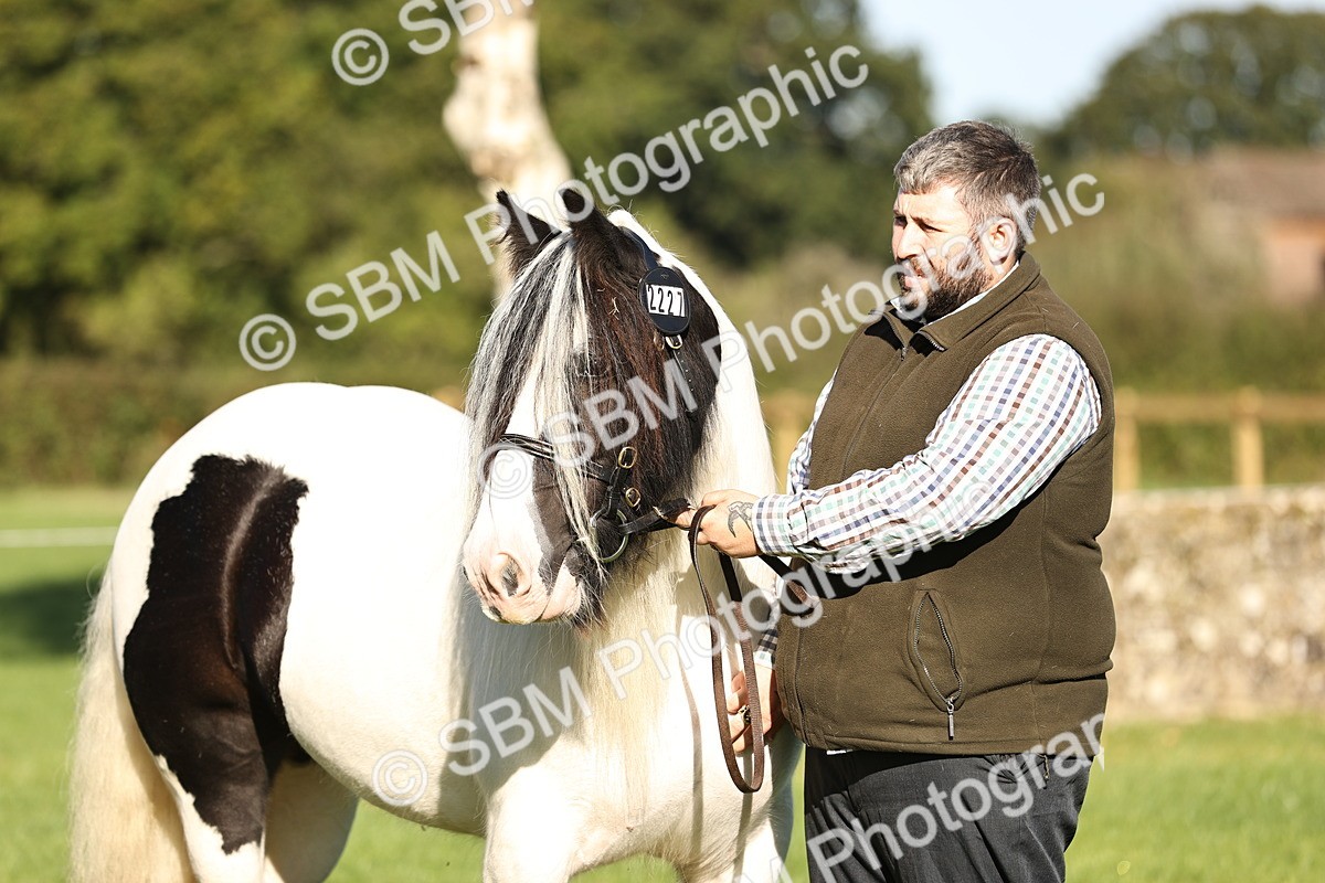 SBM_15821 - S1 - TSR in Hand Horse & Pony Showing