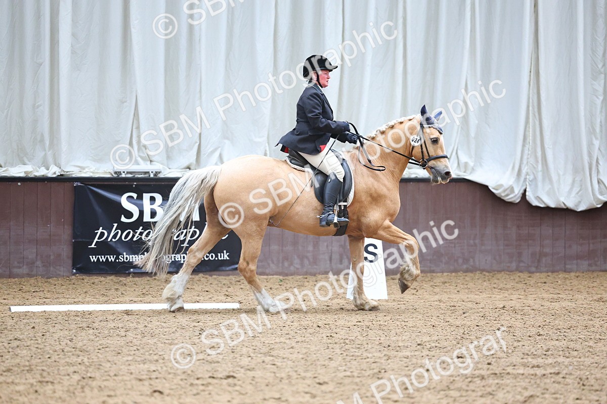 SBM_005401 - Class 3 - Novice 5