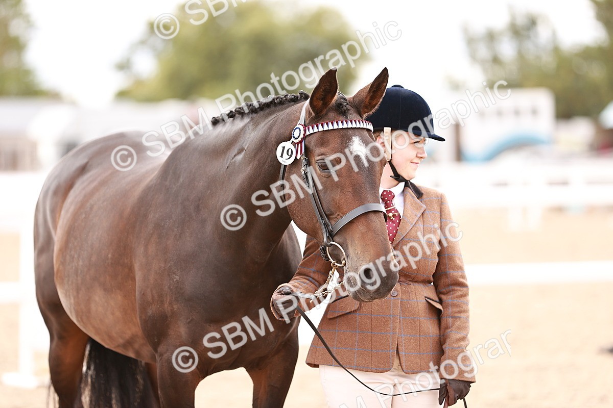 SBM_16359 - Class 413 - Best Condition - Adult