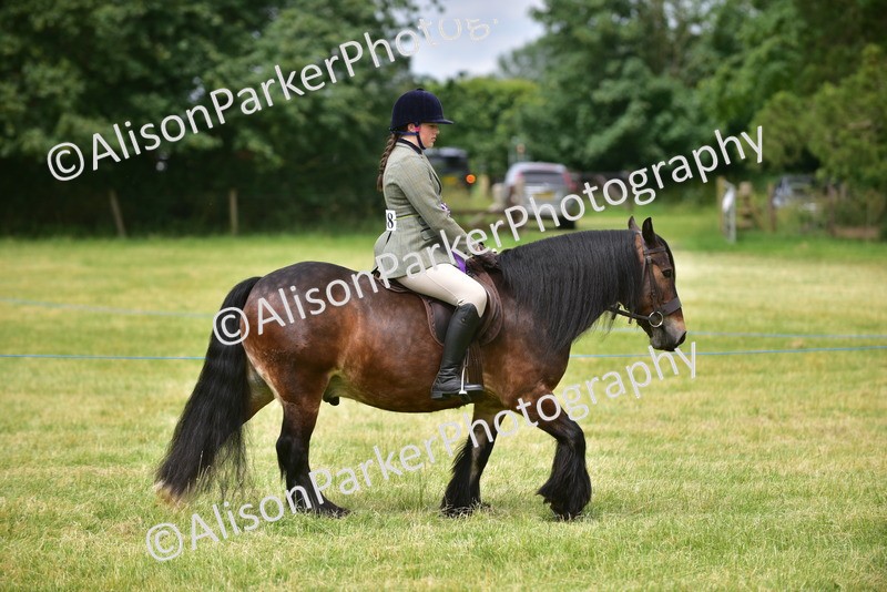 20260614-4173 - Class 17 - Best Mane and Tail