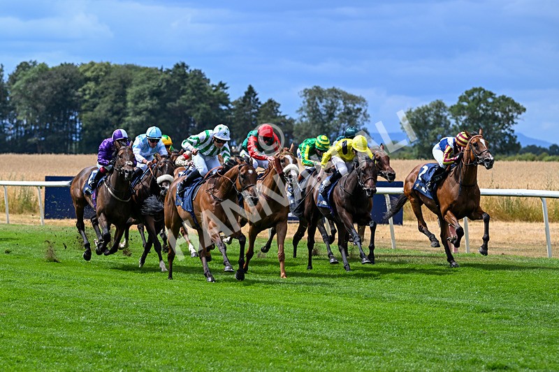 010826-Race 2-Witch Hunter-2248 - Race 2 14.08pm William Hill Summer Cup Handicap
