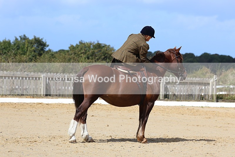 3E7A3612 - Class 7:  Preliminary Music