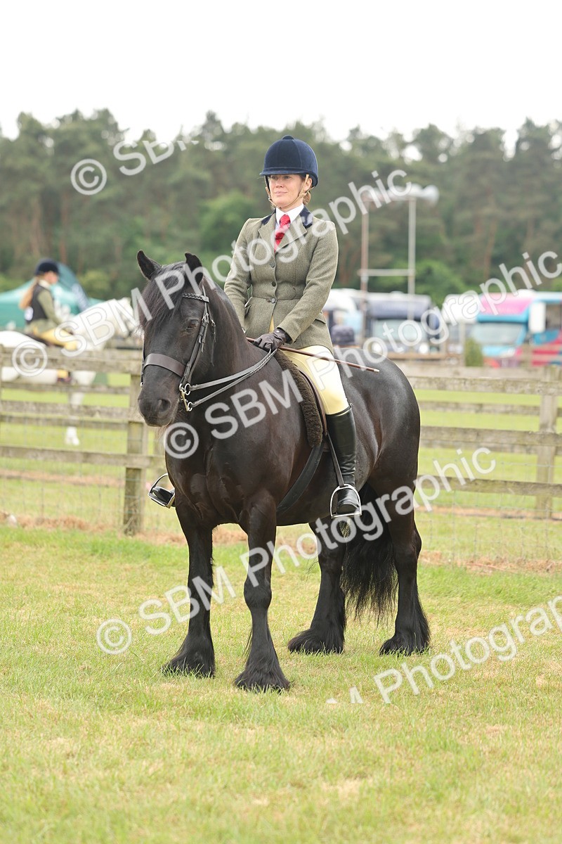 SBM_08997 - Class 78-80 - Ridden M&M Non Welsh Ponies