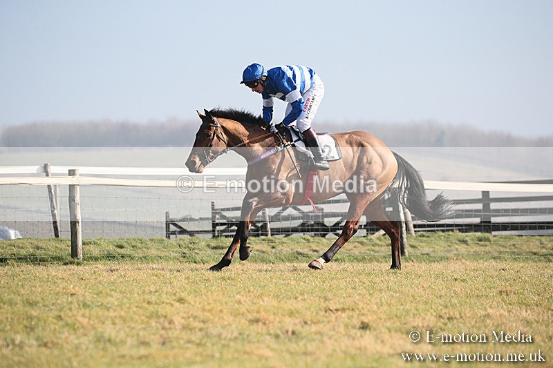 PtP 230219 117 - Vine & Craven Point-To-Point - Barbury 23/02/19