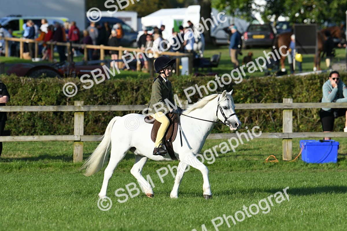 SBM_54101 - S23 - 1st Ridden Mountain & Moorland Pony