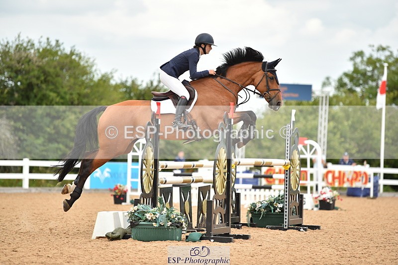 230720A-121822-02510 - Cls 13, 1 Star Bronze 1.10m