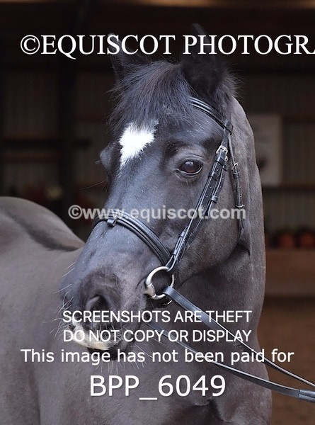 BPP_6049 - Erin Hancock ×2