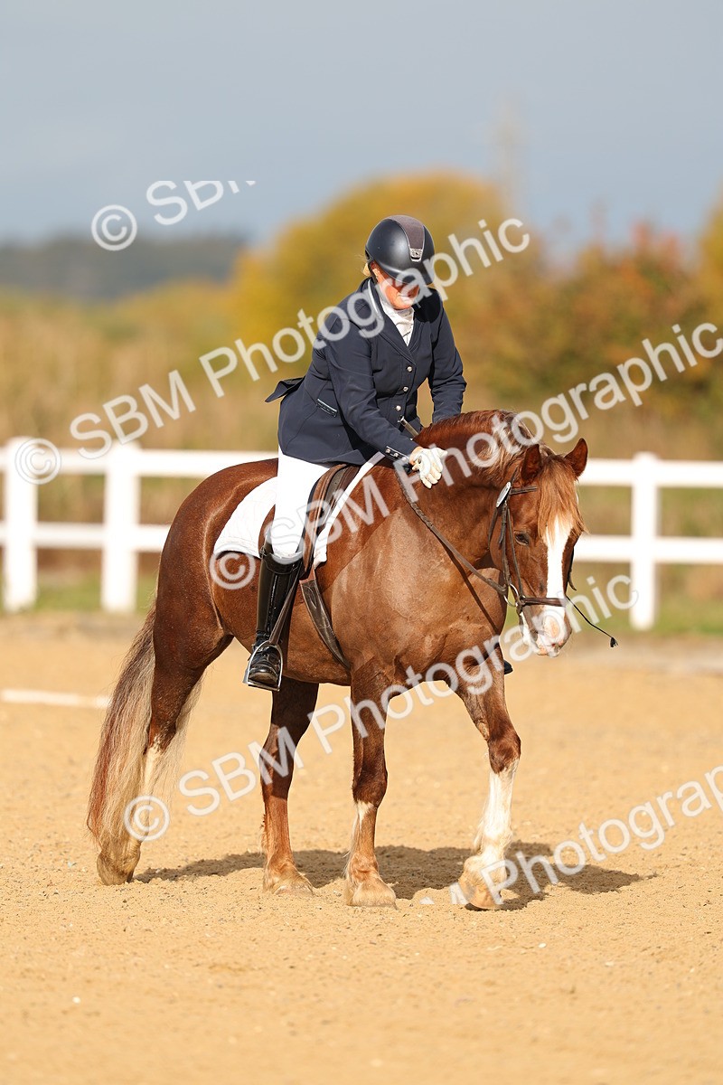 SBM_009313 - Class 1 - P4