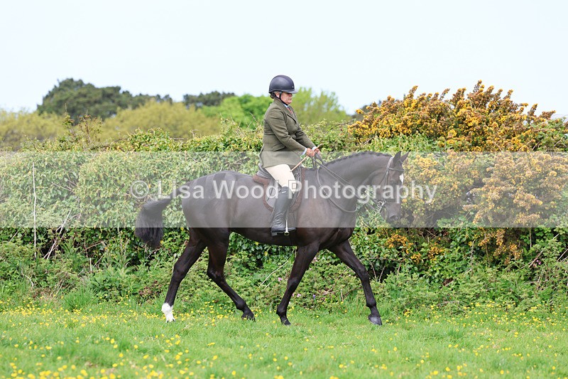 3E7A1316 - Class 7: Ridden Hunter Type