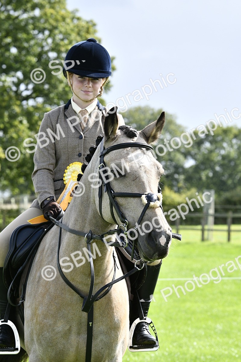 SBM_41681 - S32 - Mountain & Moorland Working Hunter Pony