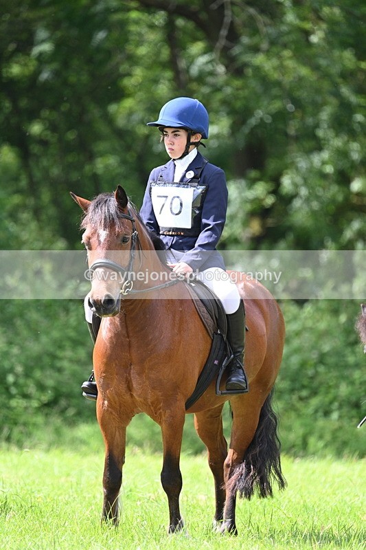 WJ7_1332 - Class 11 Condition & Turnout