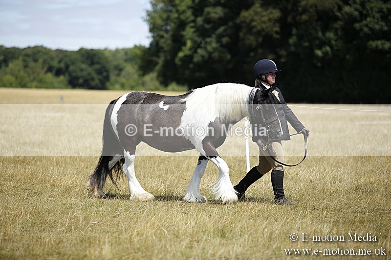 _C7A0025 - BVRC Sow 2018 Ring 2