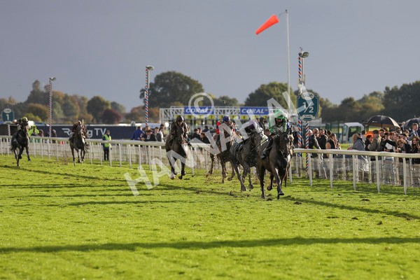 121024-Race 6-Gibside-7347 - Race 6 4.30pm Coral We're Here For It Stayers Handicap