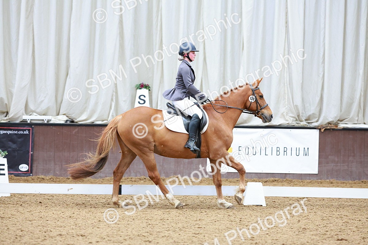 SBM_000963 - Class 12 - Novice 2