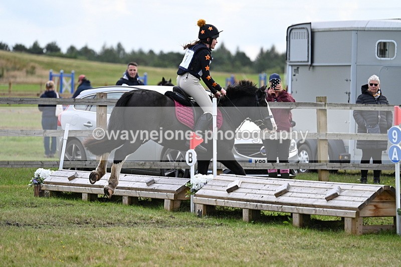 WJ7_8052 - 40cm Time 10:49 to 11:18