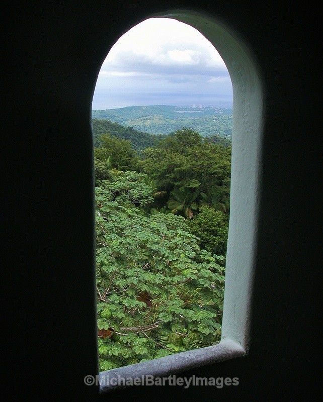 Rainforest Window - Cool Shots