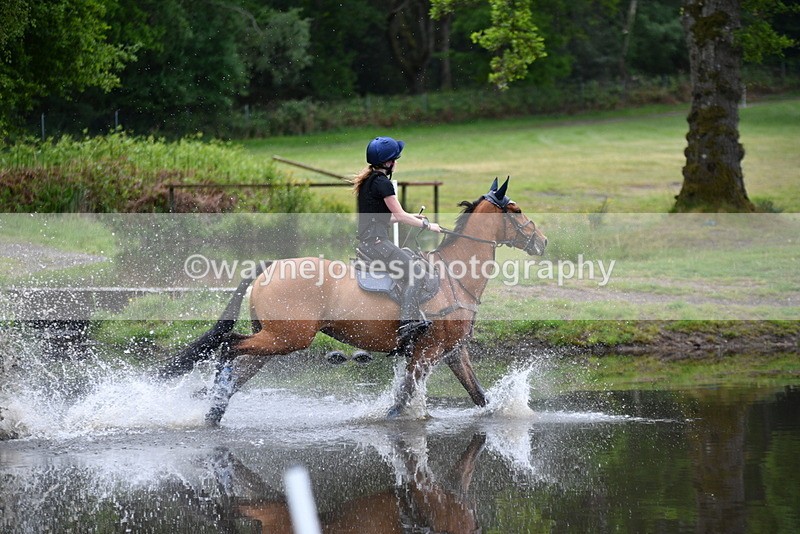 WJ5_4932 - Time 11:25 to 11:56