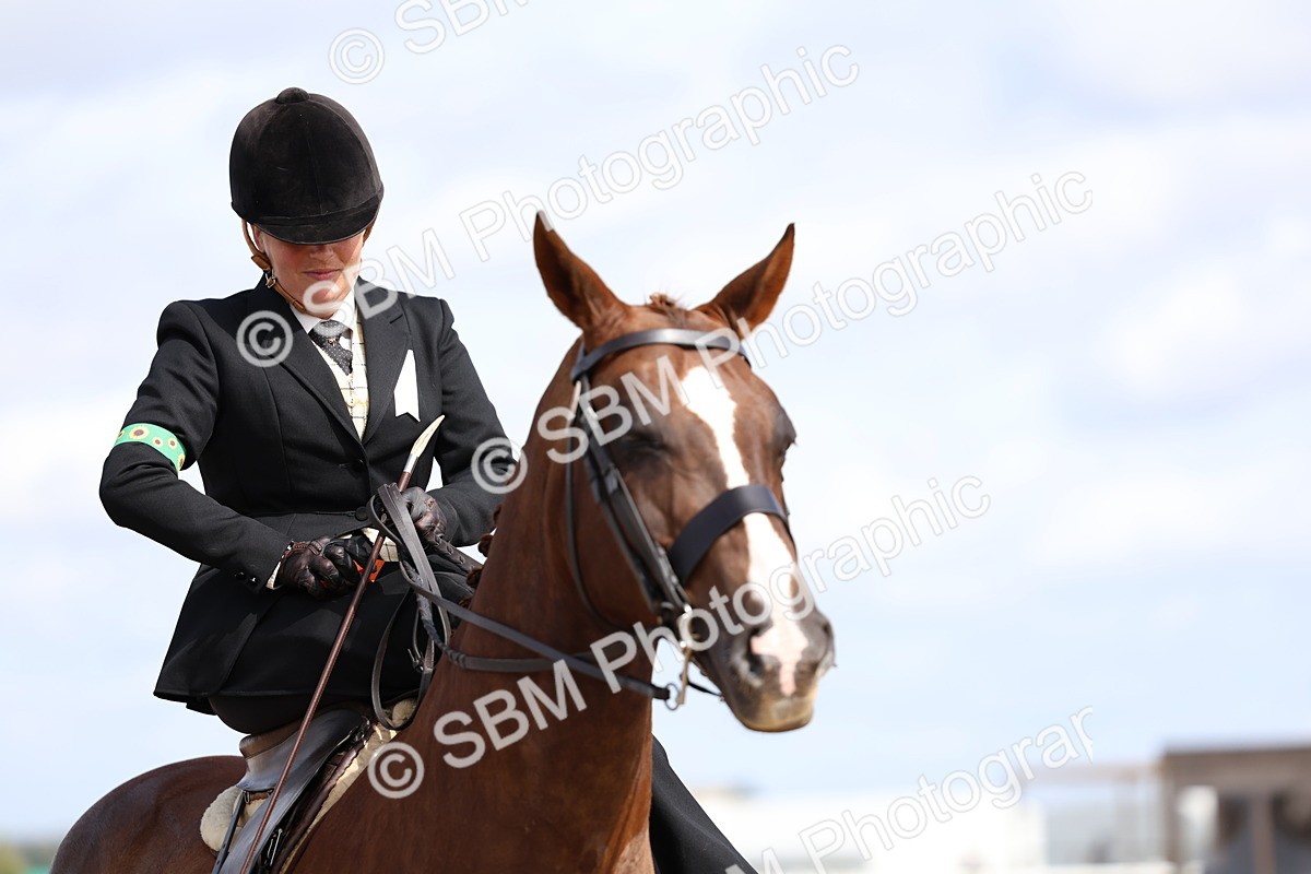 SBM_03263 - Class 22 - SSA Equitation (any age)