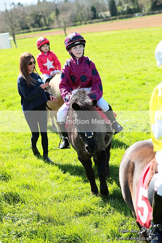 Shet 060426 241 - Shetland Pony Racing Paxford Races Easter Mon 06/04/26