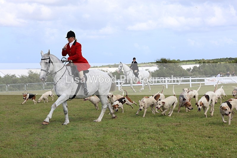 3E7A3391 - Parade of Hounds