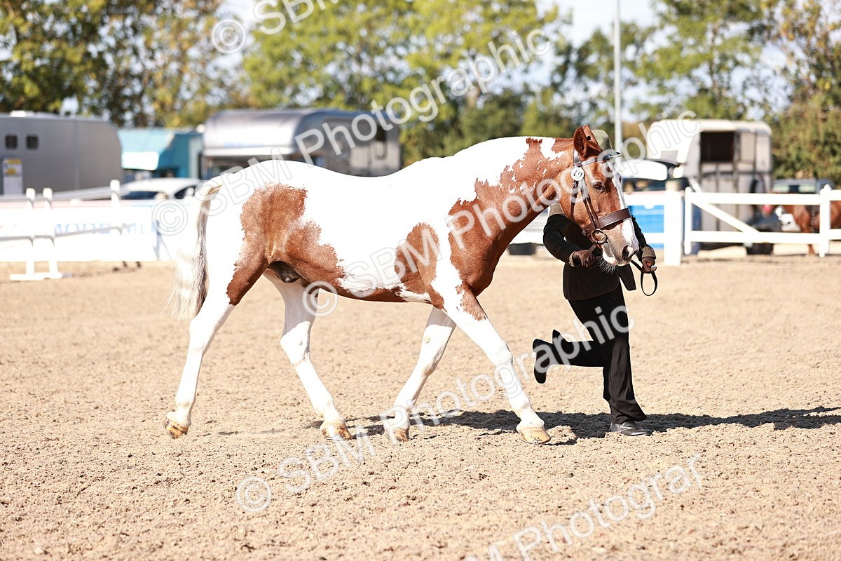 SBM_13221 - Class 405 - IH Show Cob